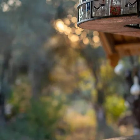 Pure Life Goecek 酒店