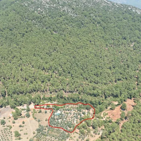 Pure Life Goecek Gokceovacik