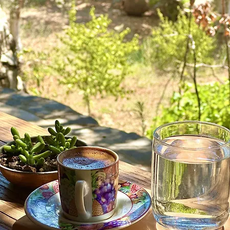 فندق Pure Life Goecek