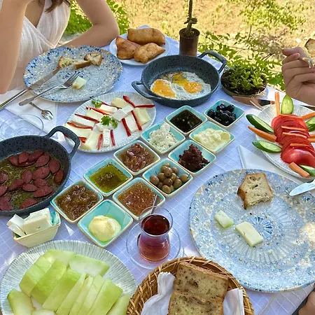 Pure Life Goecek فندق *