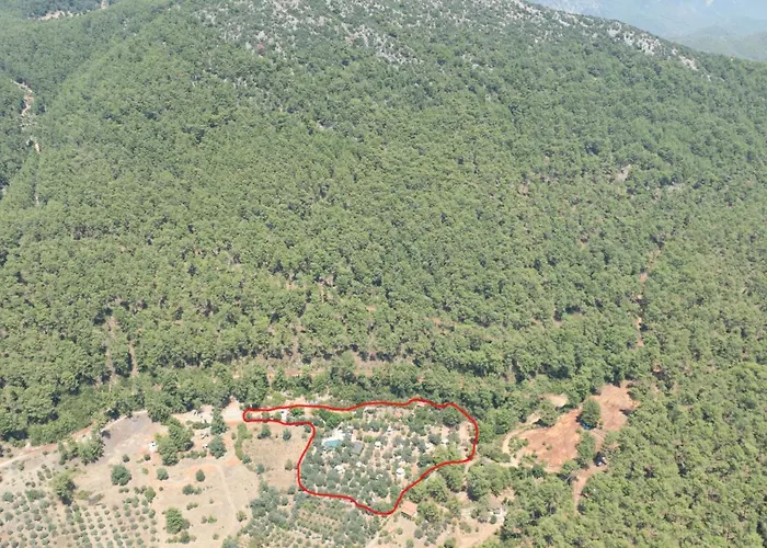 Pure Life Göcek Gokceovacik