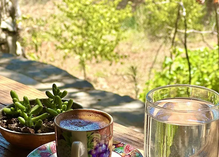 Otel Pure Life Göcek