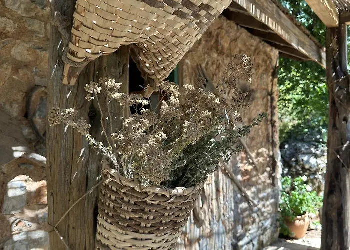 Pure Life Göcek Gokceovacik